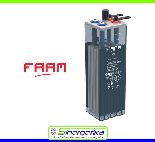 Batteria FAAM 300Ah 2V 6STA55 Stazionaria Solare Fotovoltaico